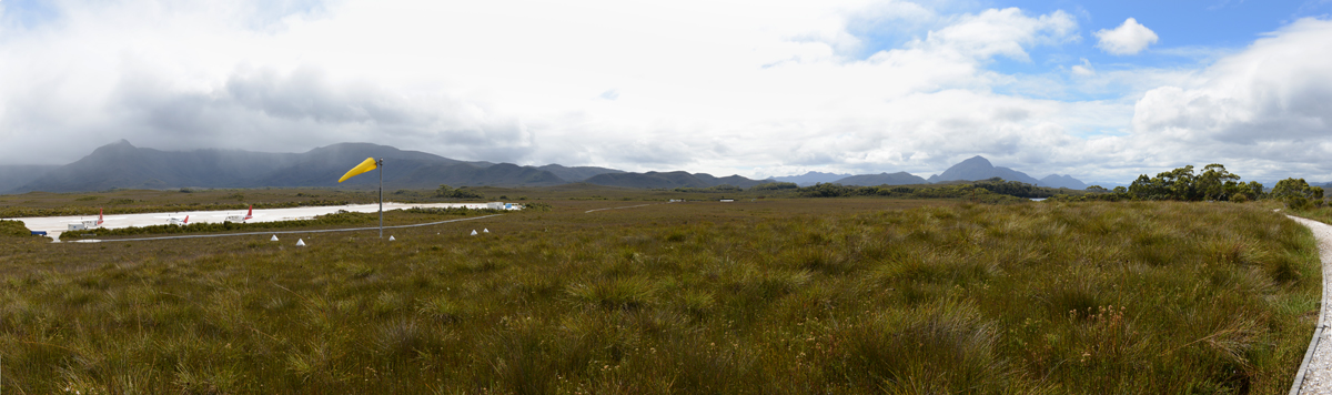 melaleuca-pano-1