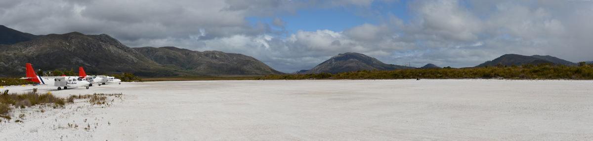 melaleuca-pano-2